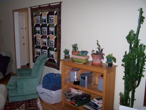 BEFORE Living Room Staging Photo by The Inviting Home